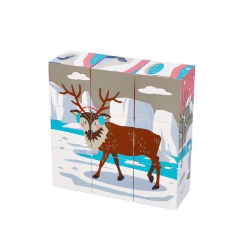 Adam Toys Drevené náučné kocky Antarktída - 9 ks (1)