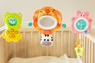 Senzorický oblúk Zebra Toyz – zrkadielko, hrkálky, 0–18 m (5)