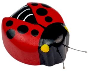 2Kids Toys Drevená magnetka veľká Lienka (2)