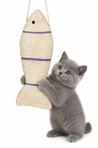 Škrabadlo pre mačky v tvare ryby zo sisalu, 40 cm (2)